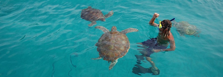 Barbados Aonde Casar Destination Wedding