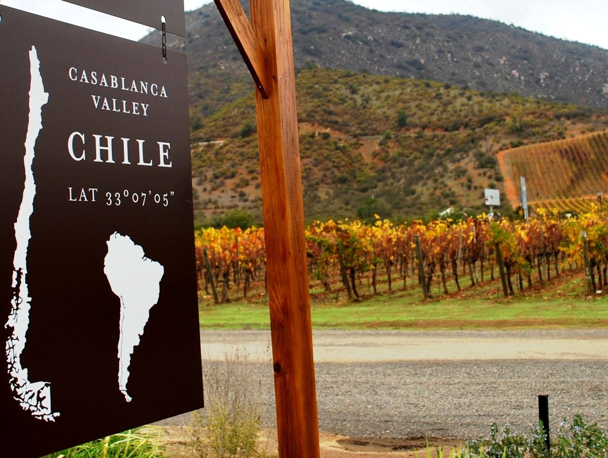 Valle-de-Casablanca-Chile-vinho-vinícola-LikeChile