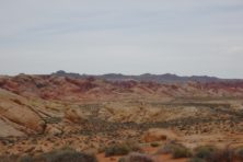 lrg_1411072934